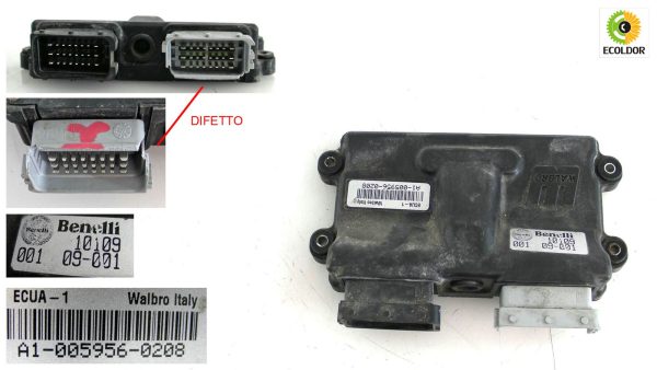 CENTRALINA MOTORE ECU WALBRO A1-005956-0208 10109 BENELLI TNT 899B 2007 95B