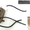 VASCHETTA LIQUIDO RADIATORE 60585387 ALFA ROMEO 33 1.4B 1992 55D